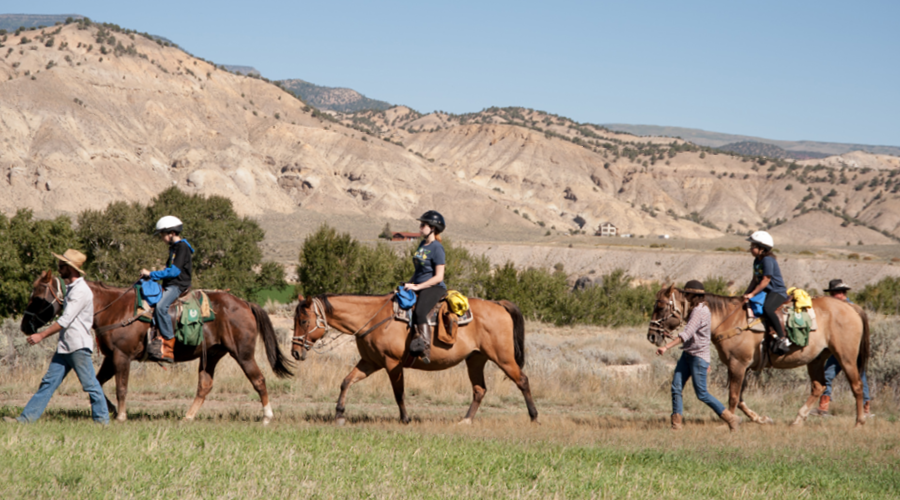 equestrian program - campers on horses in field