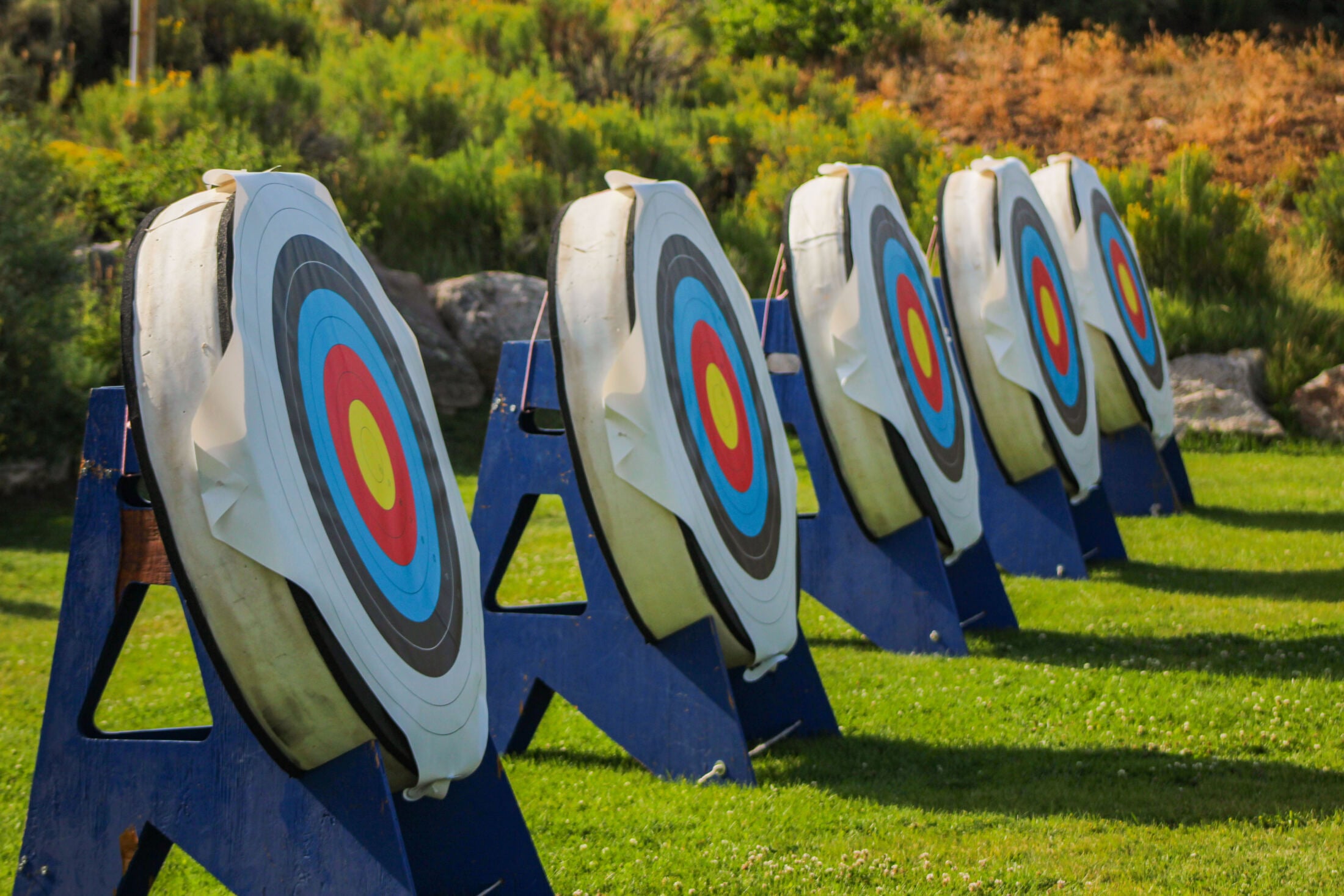 The 2026 Bullseye Roundup